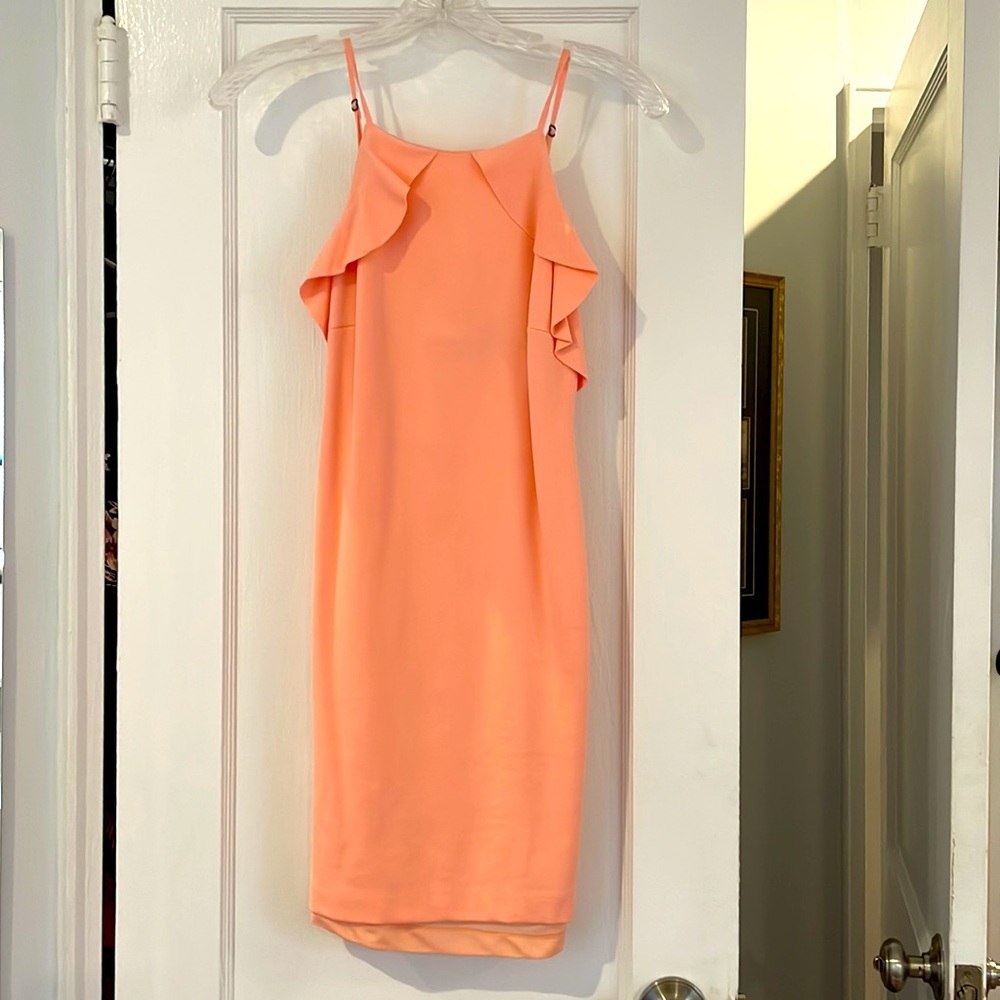 Zara dress